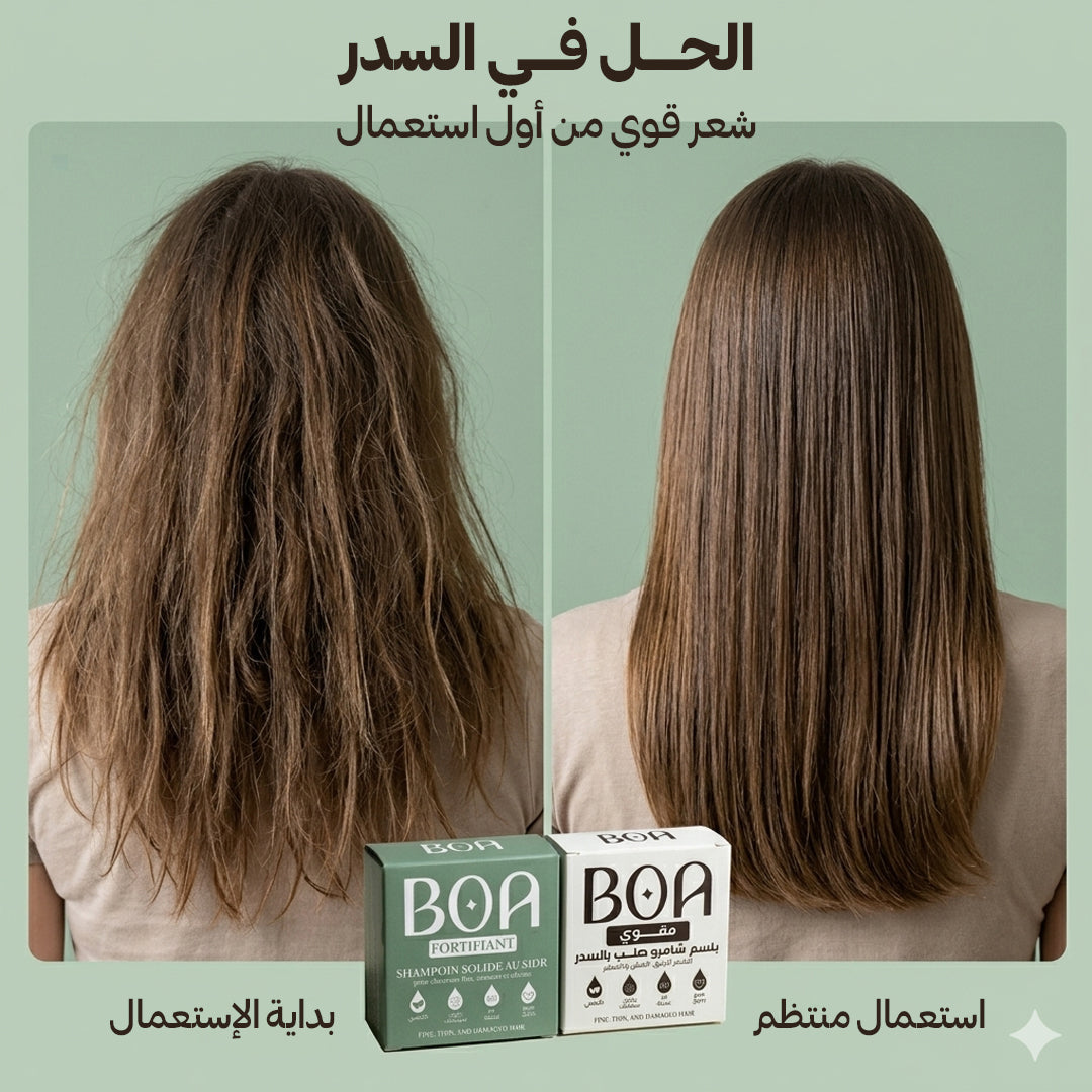 مجموعة المقوّية بالسدر - شامبو صلب وبلسم | Pack Fortifiant au Sidr