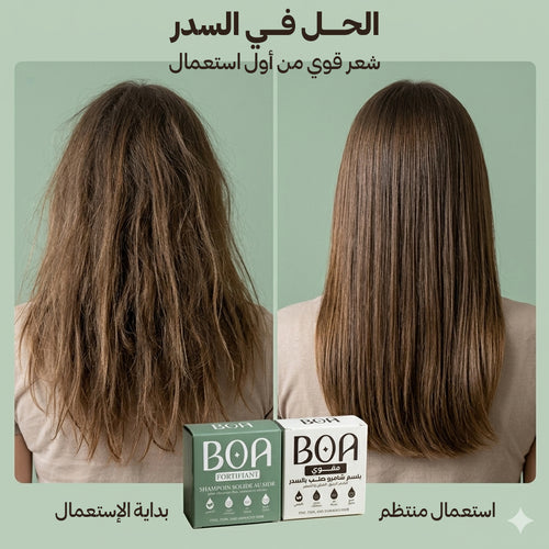 مجموعة المقوّية بالسدر - شامبو صلب وبلسم | Pack Fortifiant au Sidr